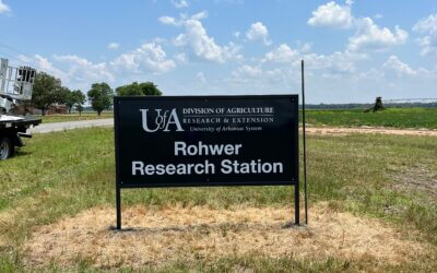 Perfect Sign File Formats for Your Signage Designs 101